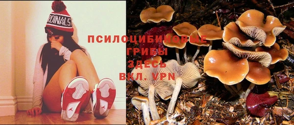 apvp Баксан