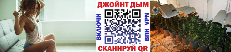 Марихуана план omg вход Кузнецк где купить наркоту